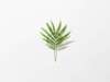 Refresh Your Office and Rooms